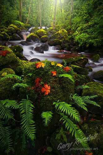 You might say I’m a Dreamer