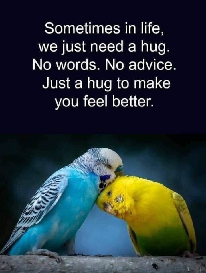 Watch “Once In A Lifetime – Michael Bolton” on YouTube