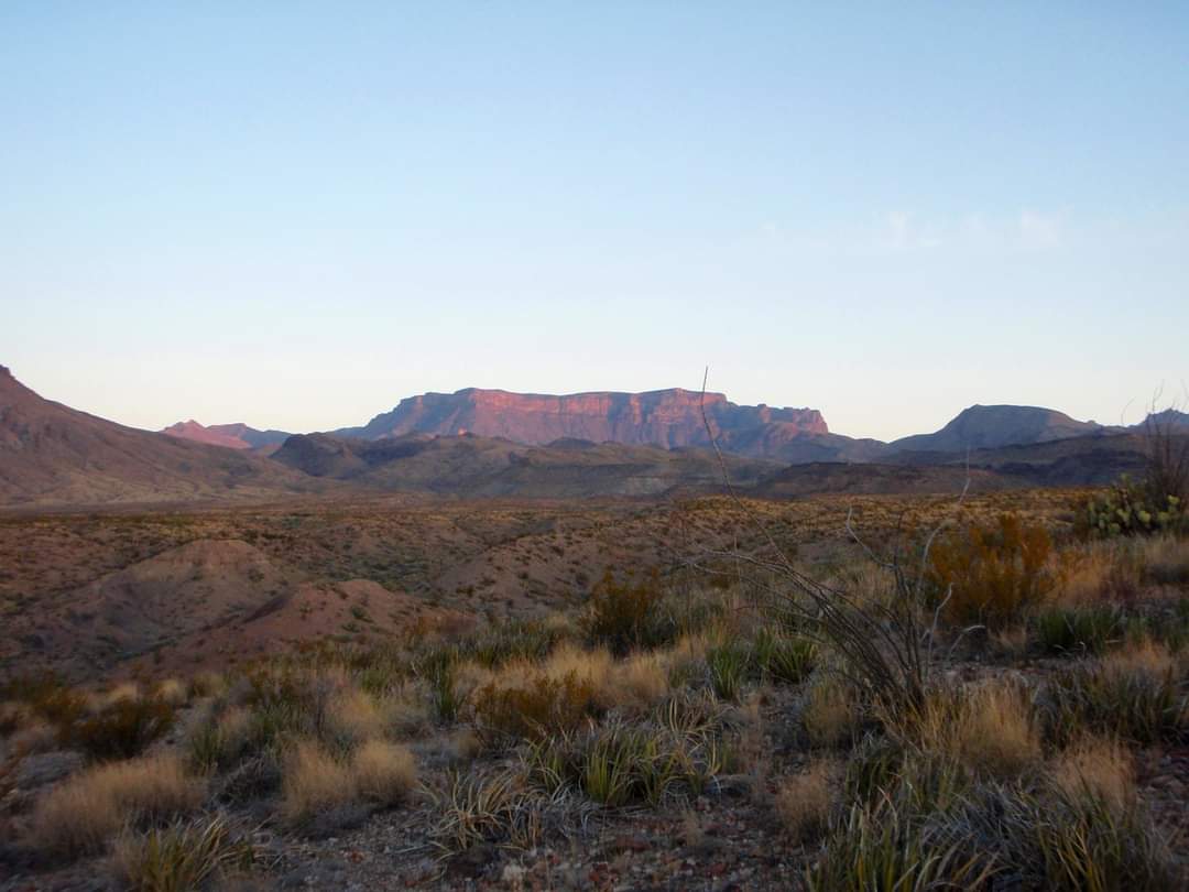 Thought for the Day ~/Quote