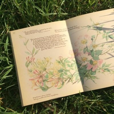 (AUSTRALIA) Greatest Poet Who Did NOT Exist Report: That in 1944, 23-year-old Max Harris was an Adelaide-based poet and co-editor of modernist art and literary journal Angry Penguins #AceNewsDesk report