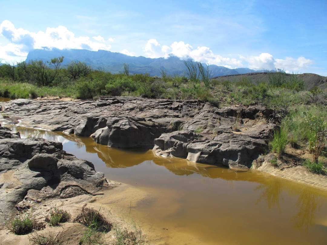Ben H. English Texas