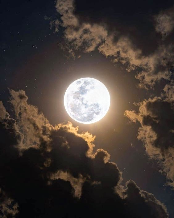 AN INSTRUCTIVE DIALOGUE – Gandhi