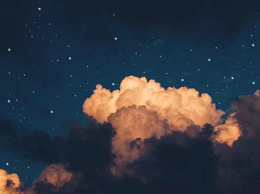 Fallen Leaves and My Shoes