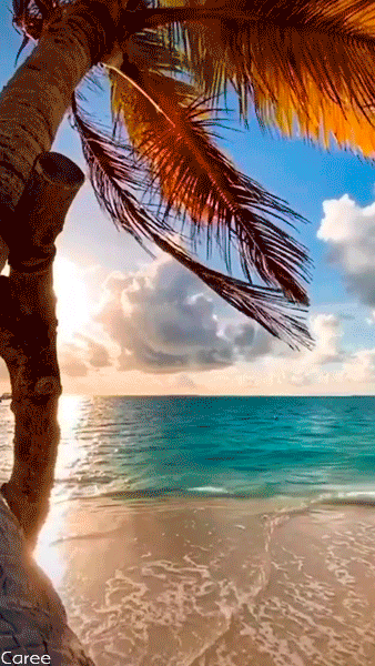 Ultrasound-Guided Biopsies vs MRI, DRE vs PSA | Answering YouTube Comments #57