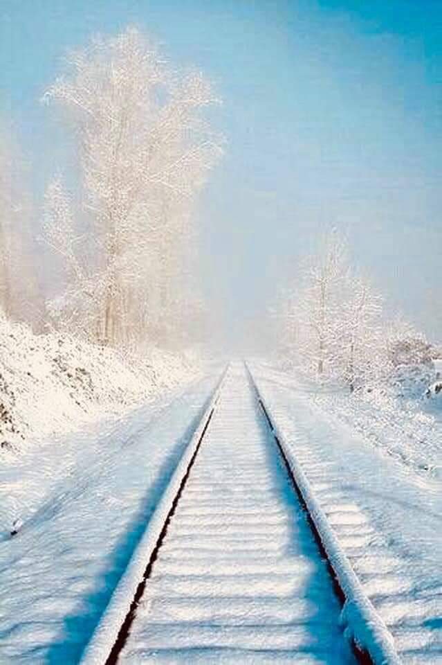 Universal language – Poem