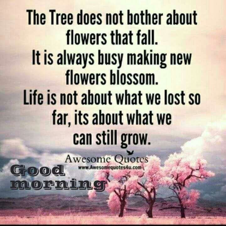 (WORLDWIDE) Global Warming Report: 2021 was tied for the sixth warmest year on NASA’s record, stretching more than a century. Because the record is global, not every place on Earth experienced the sixth warmest year on record #AceNewsDesk report