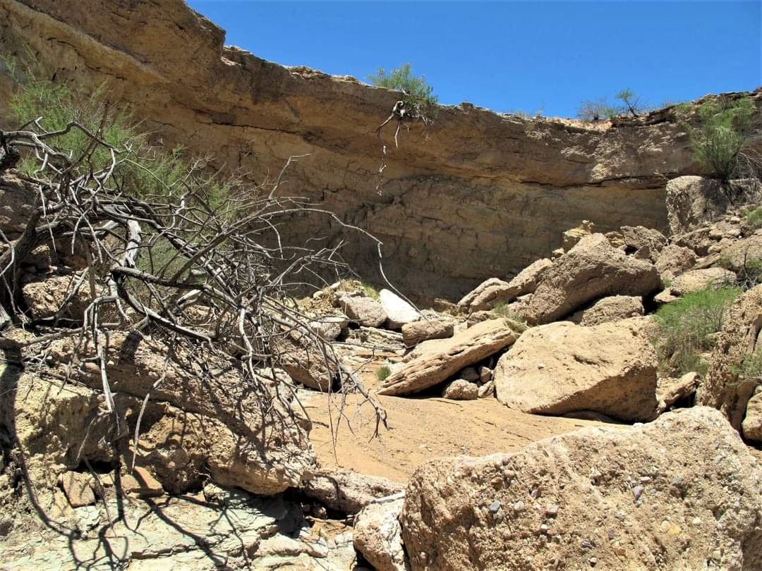 SOMEWHERE IN THE LOWER BIG BEND: