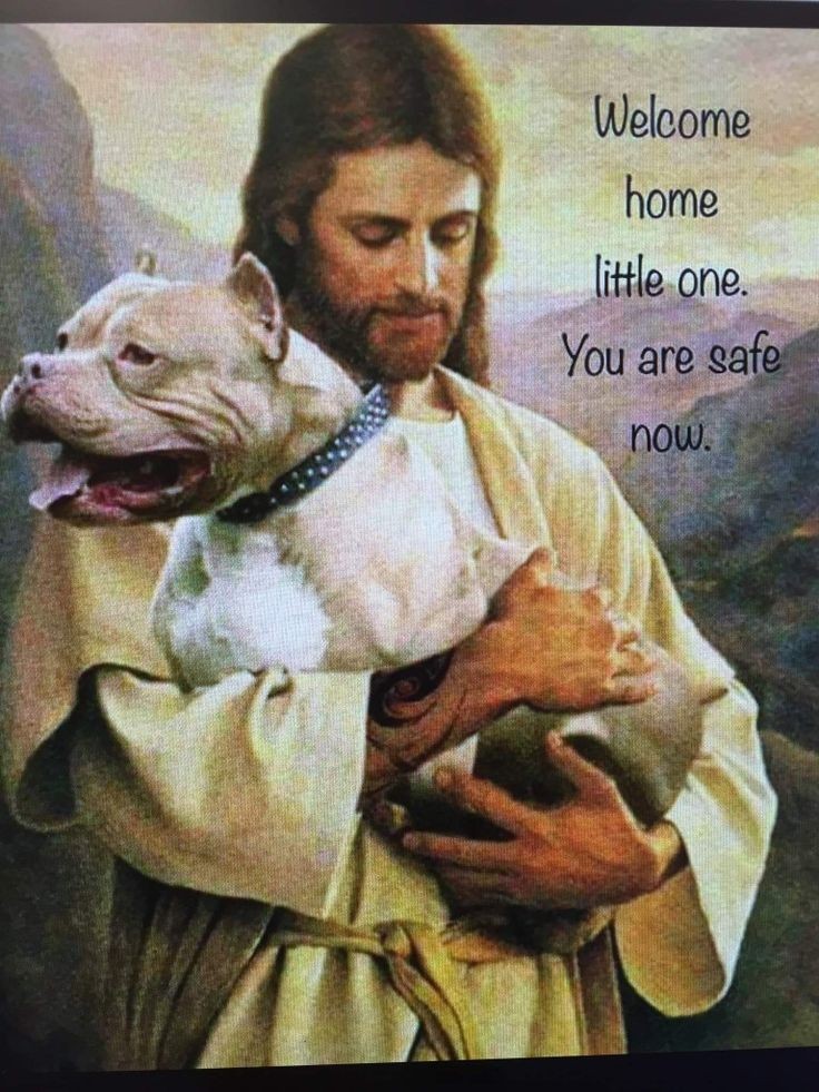 God So Loved Us HE gave us Animals to keep us company Amen 🙏🙏😔