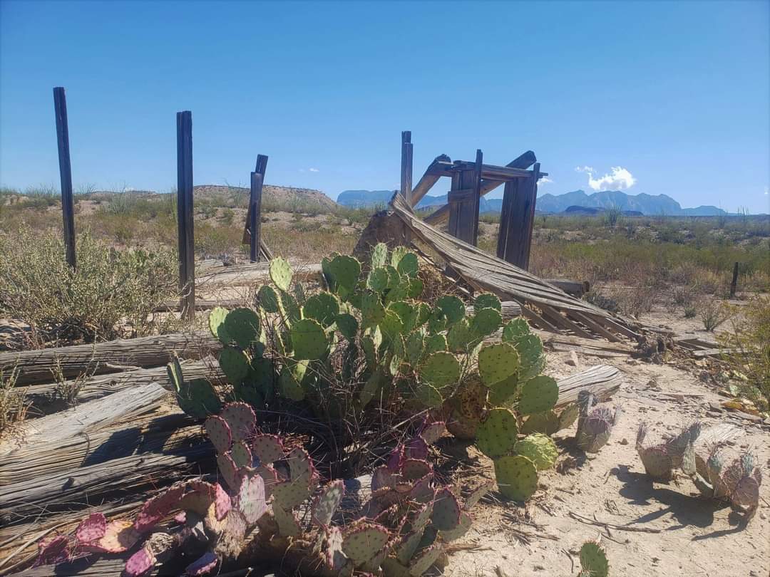 BEN H. ENGLISH – TEXAS