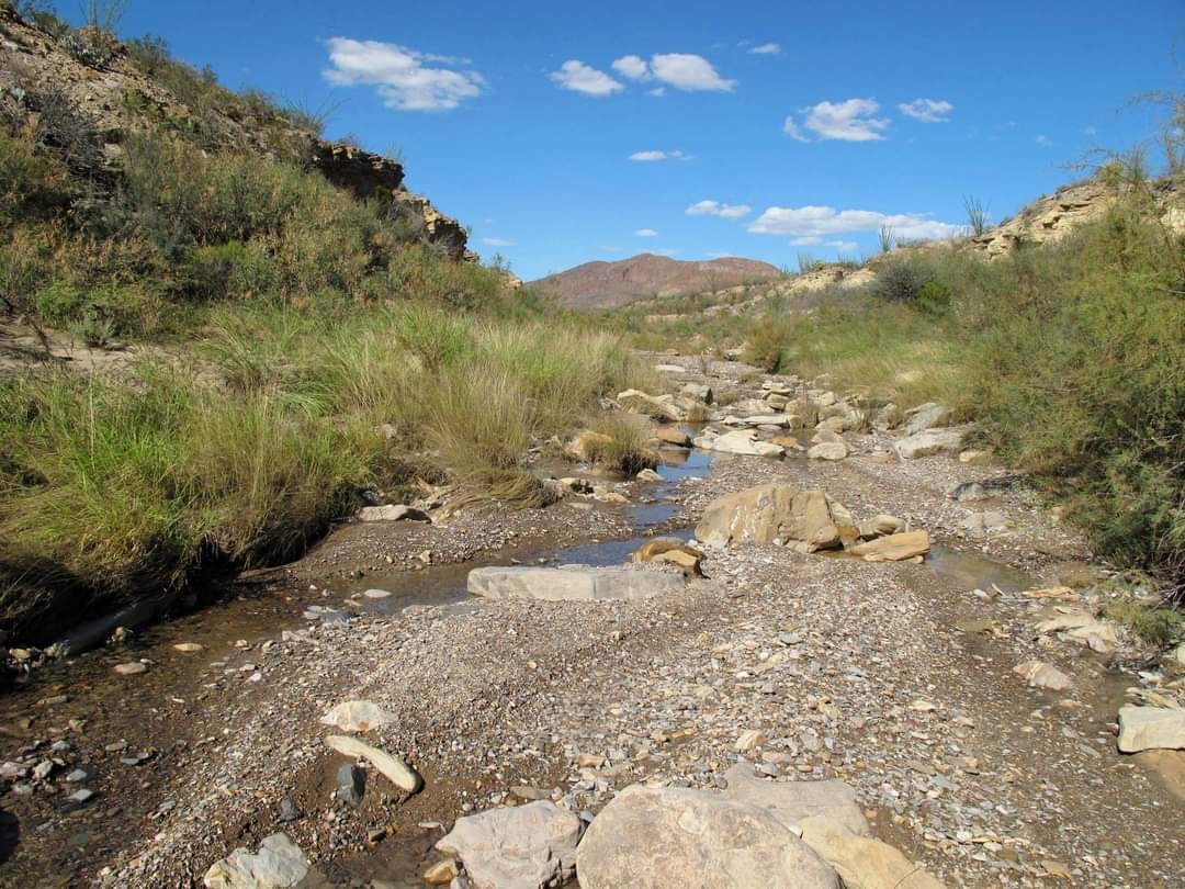 BEN H ENGLISH AUTHOR ~ ALPINE TEXAS, U.S.A.