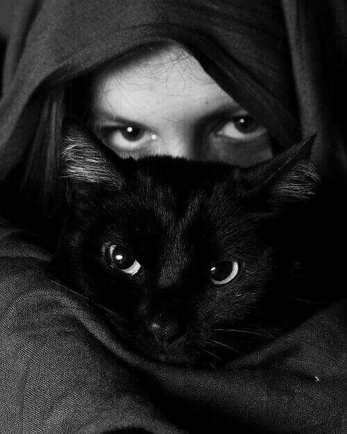 It’s time for Gallery Shots again ~ GLAMOUR GIRLS & KITTENS 💥💥💥💥💥💥💥💥💥