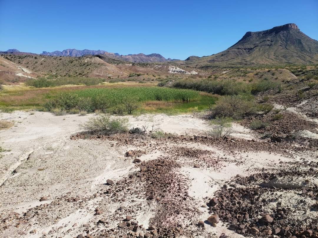 VETERANS DAY AMERICA 🙌