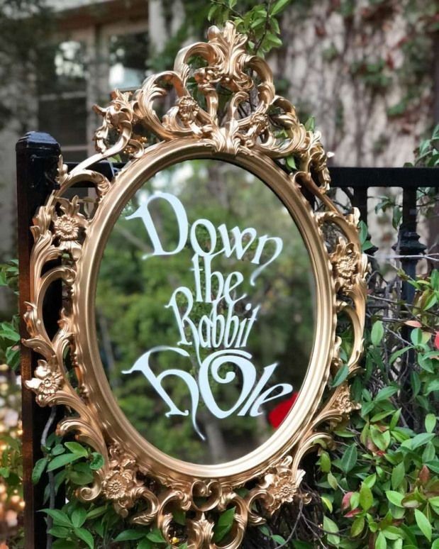 A FELLOW BLOGGER SAYS …….In this forever moment