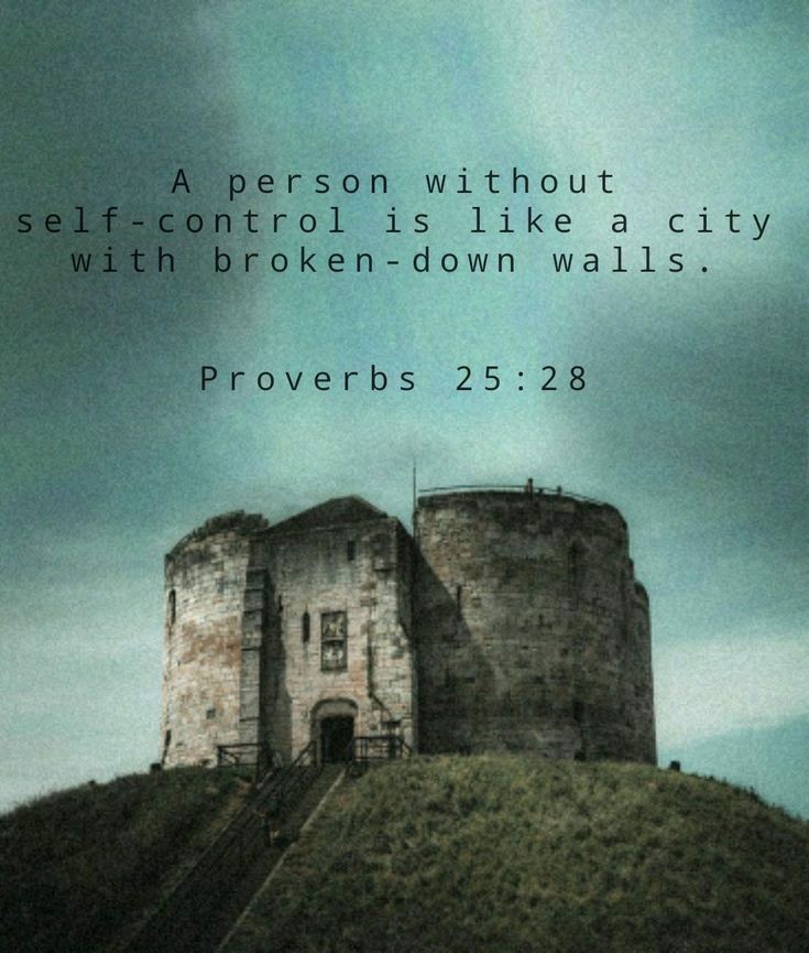 ENGLISH HISTORY: The Marriage of the Winter Queen Grand-Daughter of Mary Queen of Scots