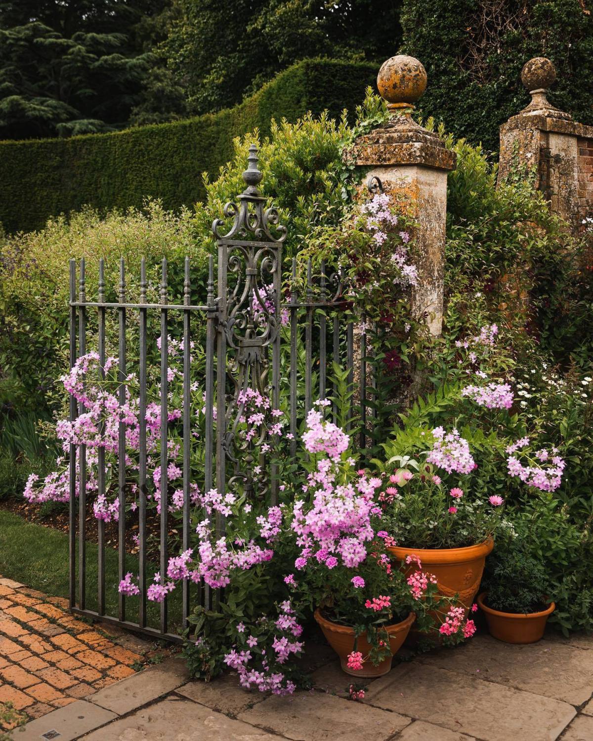 KINDNESS & CHARITY 💥