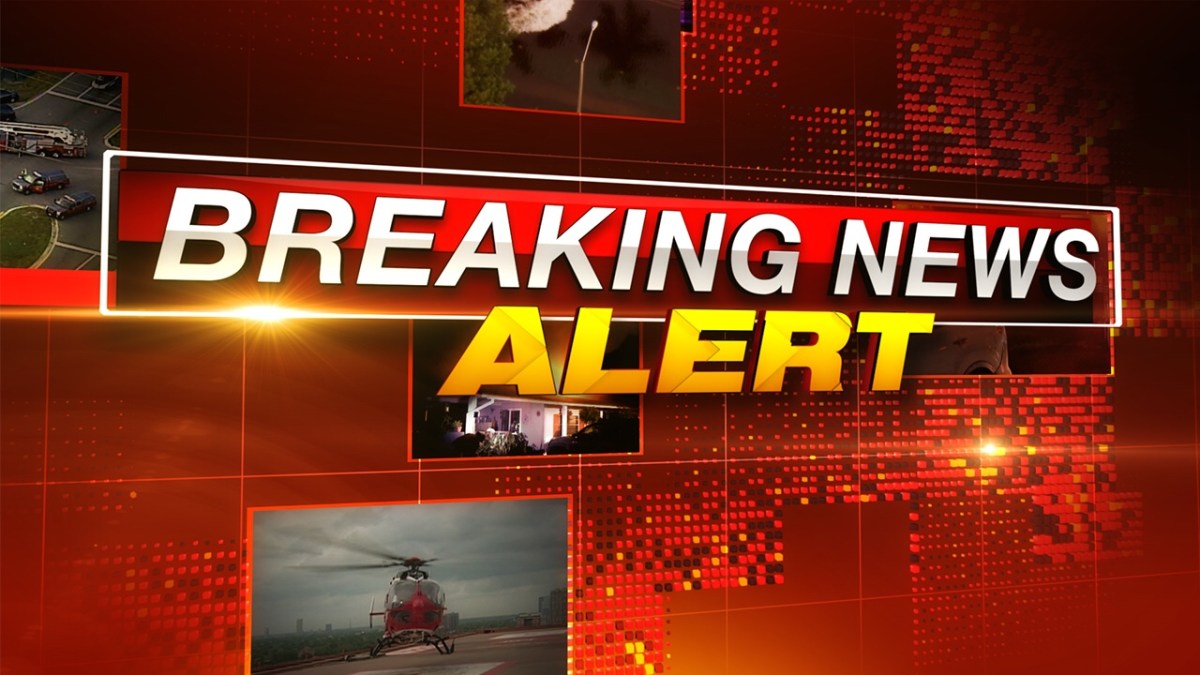 BREAKING SPAIN REPORT: Solar farm project protest in Álora Over ‘ Renewables’ to Lower Electricity Prices But Not Here