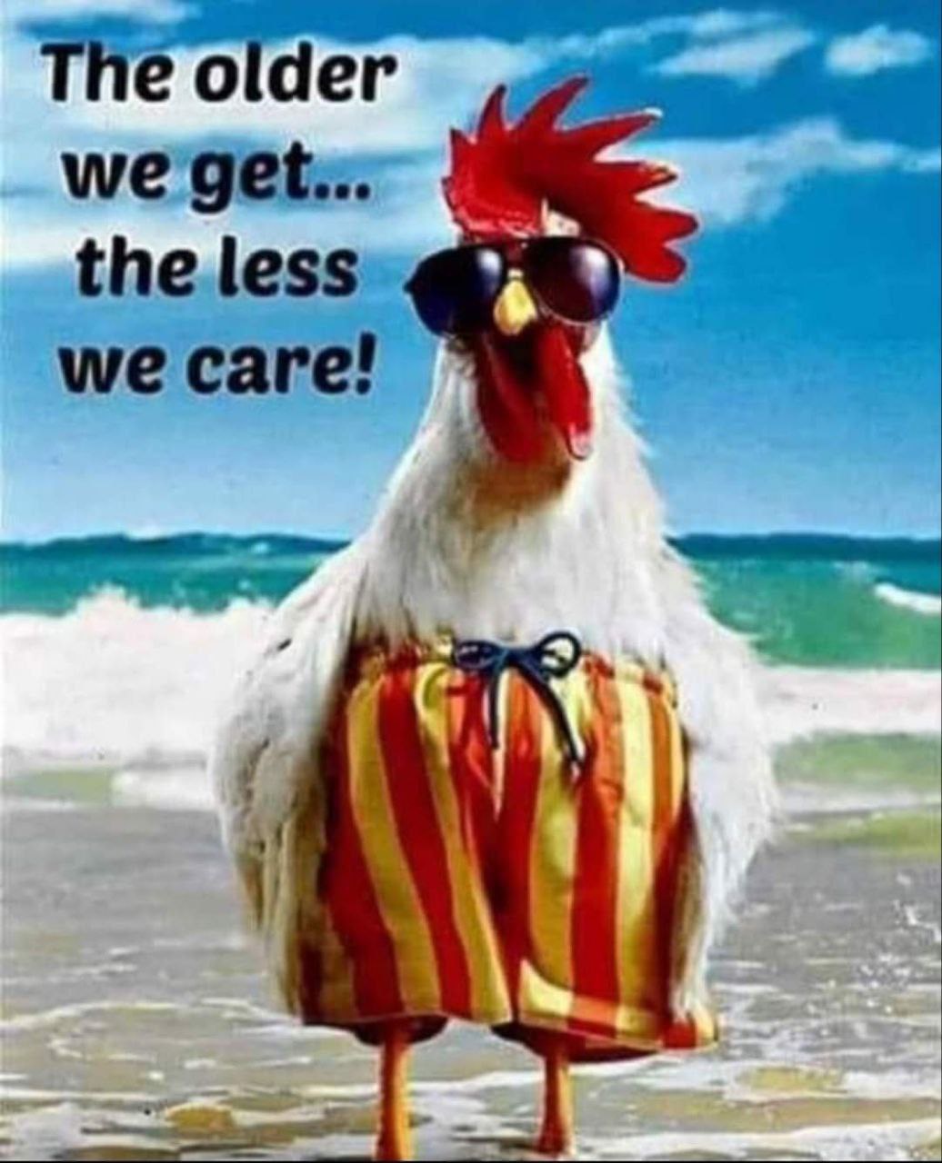 AUSTRALIA COURT REPORT: Lawyers for Hancock Prospecting begin opening statement in civil trial over Hope Downs iron ore royalties