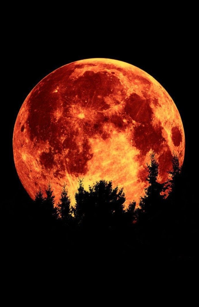 Love between Brothers and Sisters