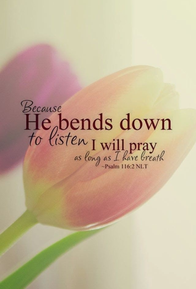 Adam says …… Pray for Today