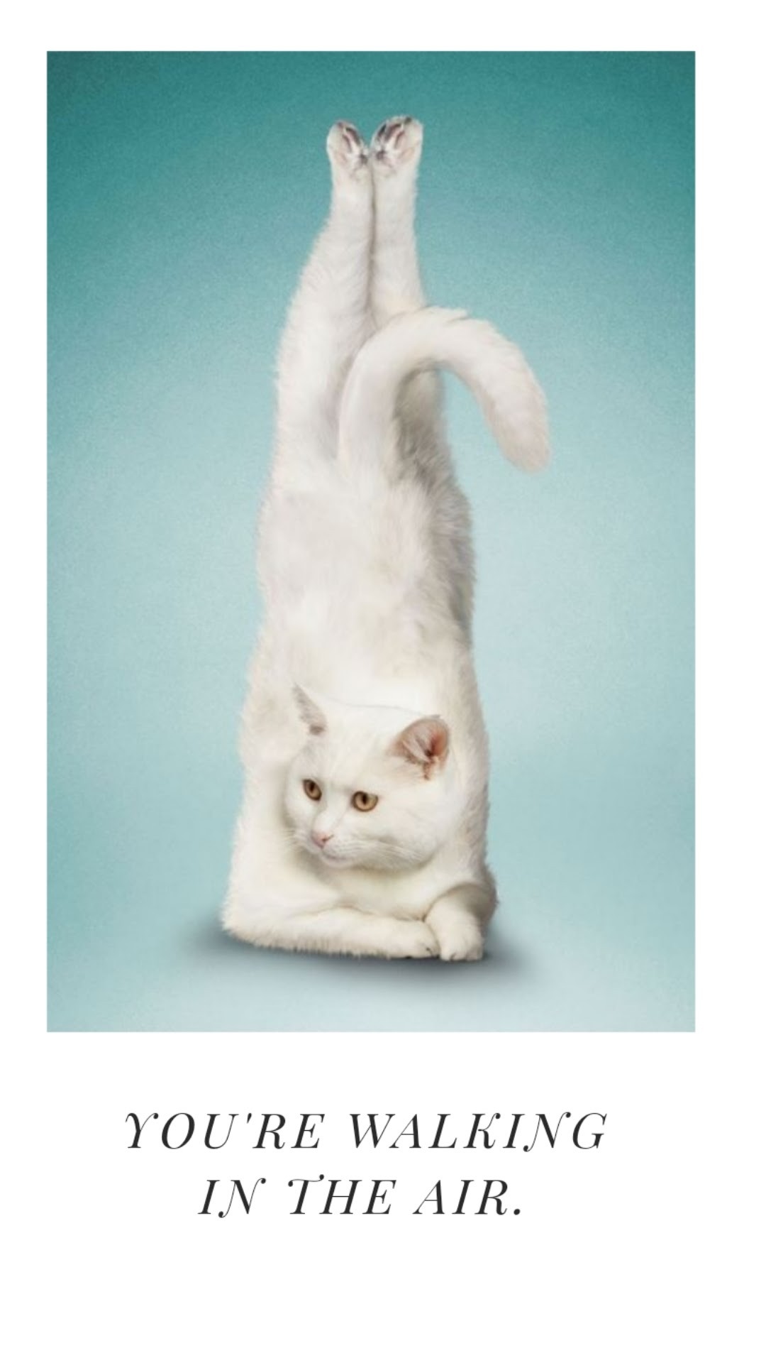 ‘ Ace News Room U.K Daily News Desk ‘