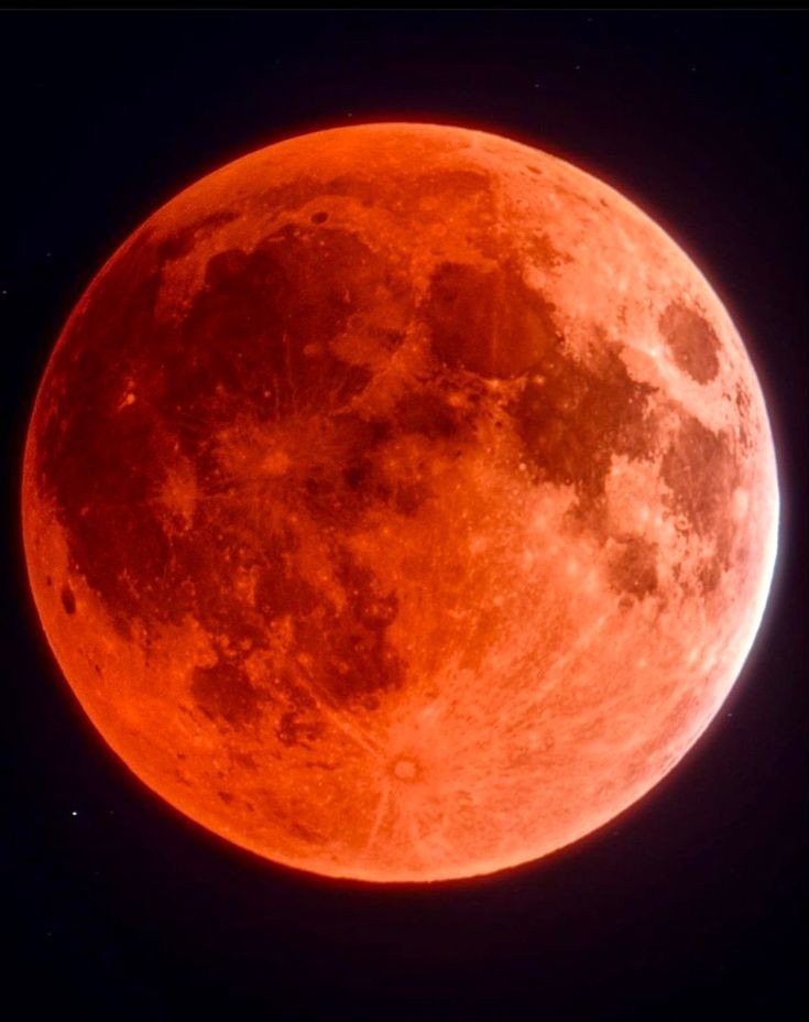 BREAKING WEST BANK NEWS: Israeli occupation soldiers injured by explosive device in Nablus