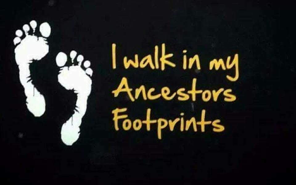 AUSTRALIA VOICE YES REPORT: Voices of the Northern Territory Speak Volumes in Parliament By Bush Telegraph