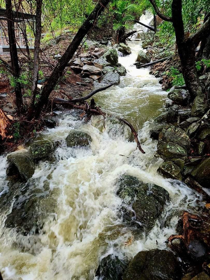BREAKING AUSTRALIA OPERATION VICTOR CONRAD POLICE REPORT: Protecting flood affected properties across FN QLD