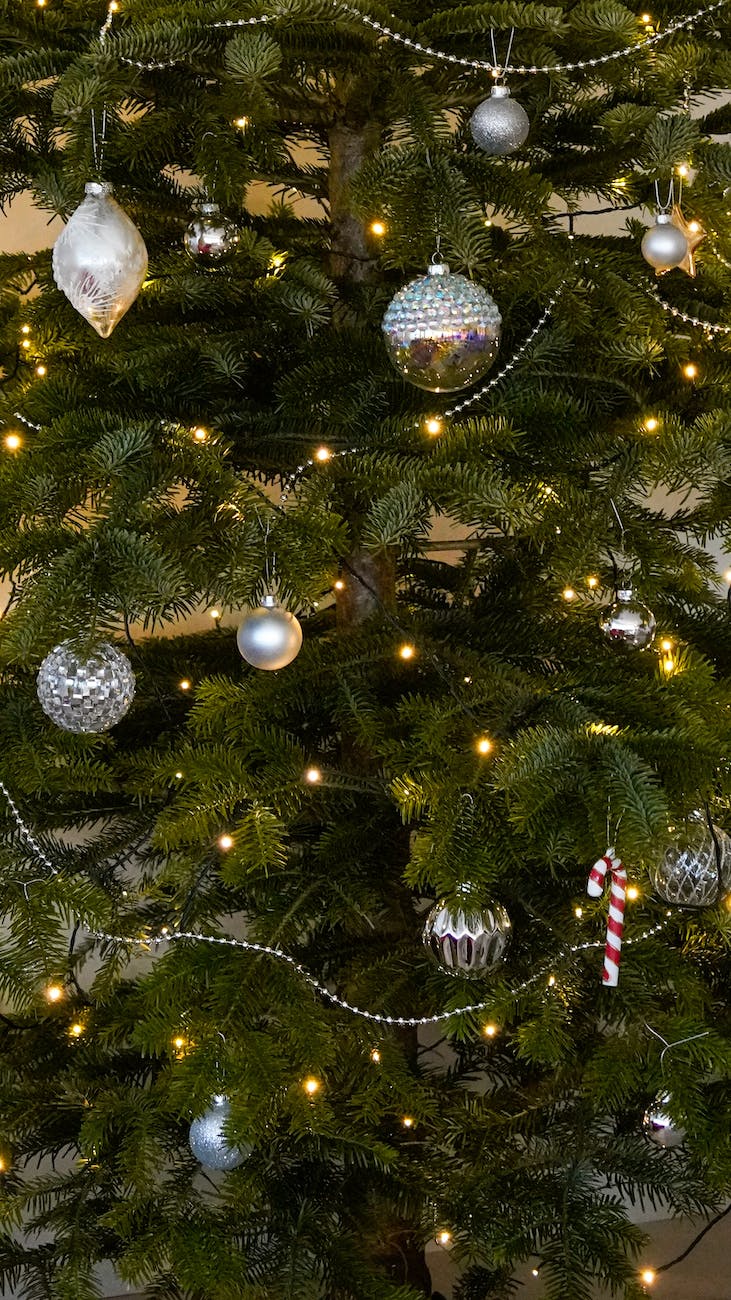 CHRISTMAS HISTORY: The true origin of the Christmas Tree & Why Does Norway Give London a Festive Spruce ?