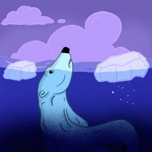 FEATURED U.S POLAR BEAR SCIENCE REPORT: Western Hudson Bay polar bears on their way offshore to hunt seals: freeze-up has begun