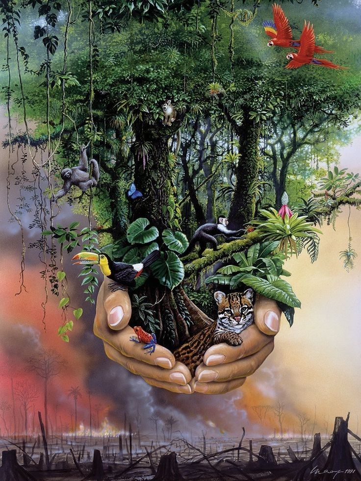 The majority of fossil fuel companies produce more emissions after the Paris Climate Change Agreement than before, according to a report