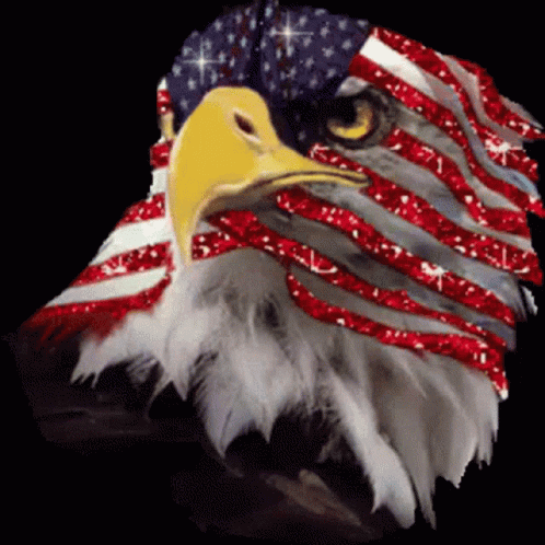 AMERICAN SOVEREIGNTY