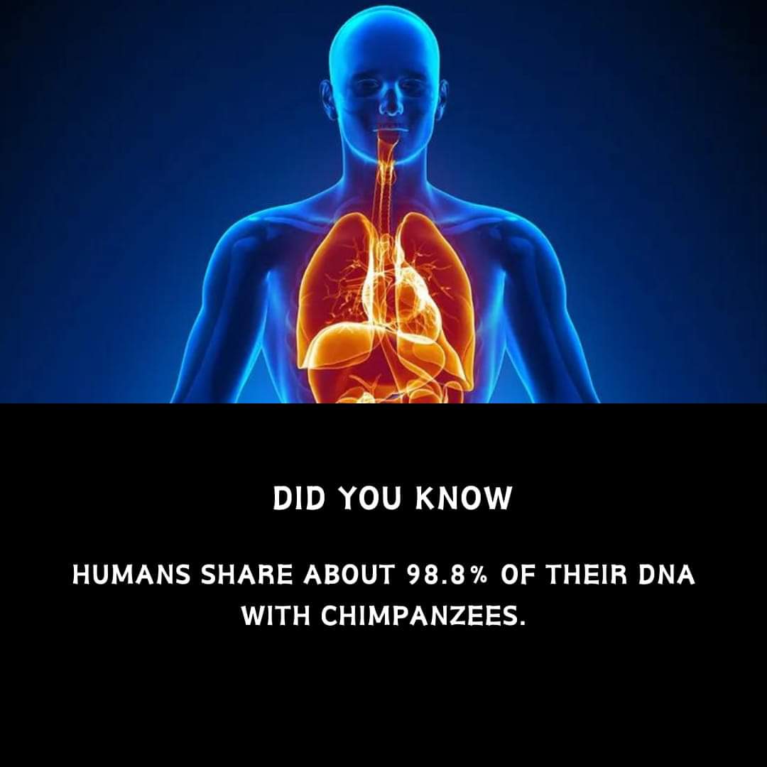 Appreciate you sharing your knowledge with us, I learnt something today and it’s really appreciated!