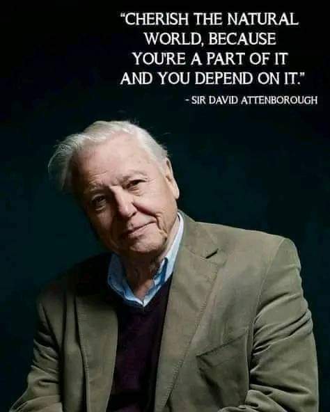 Untitled post 625762