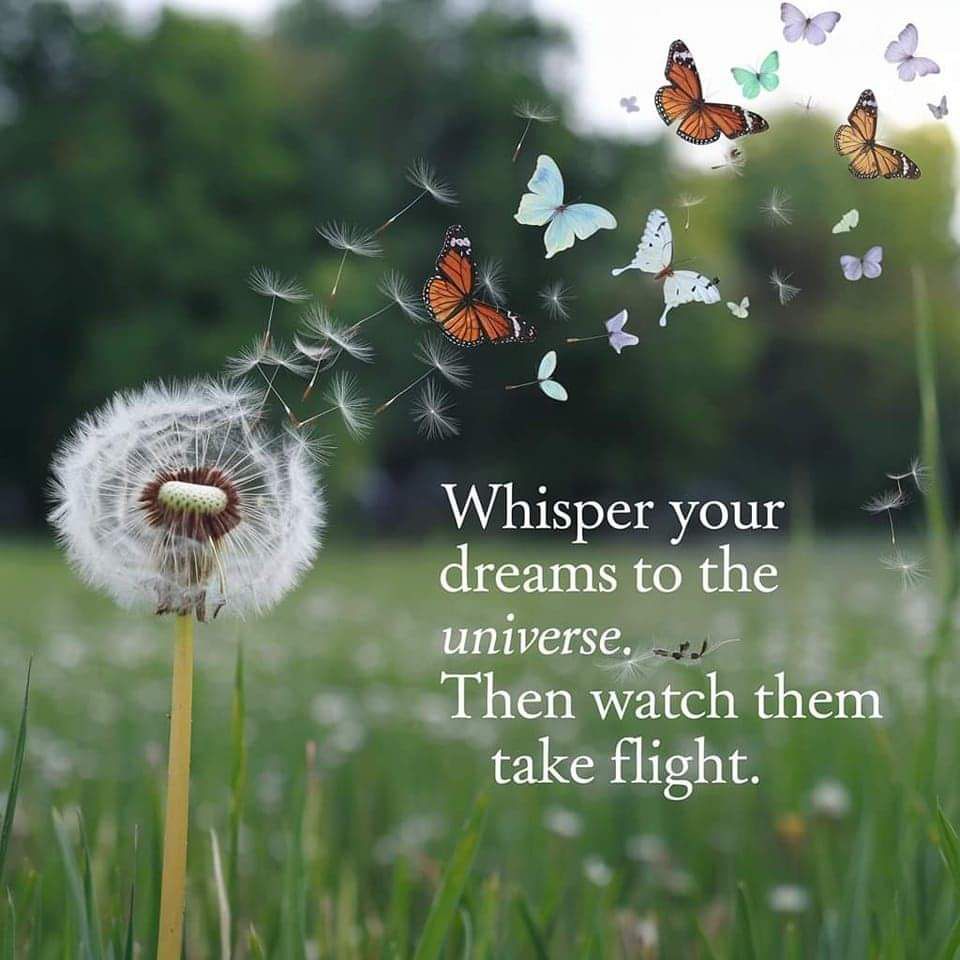 Research suggests the link between personal development exists High high-quality IQ&nbsp;