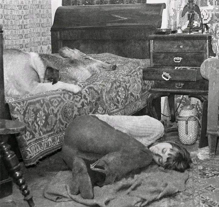 Famous Woman 💥✨