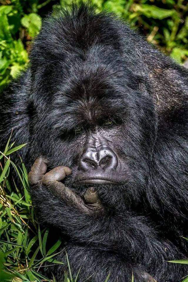 U.S Researchers Study Nutrition Analyses Data On Just One Egg