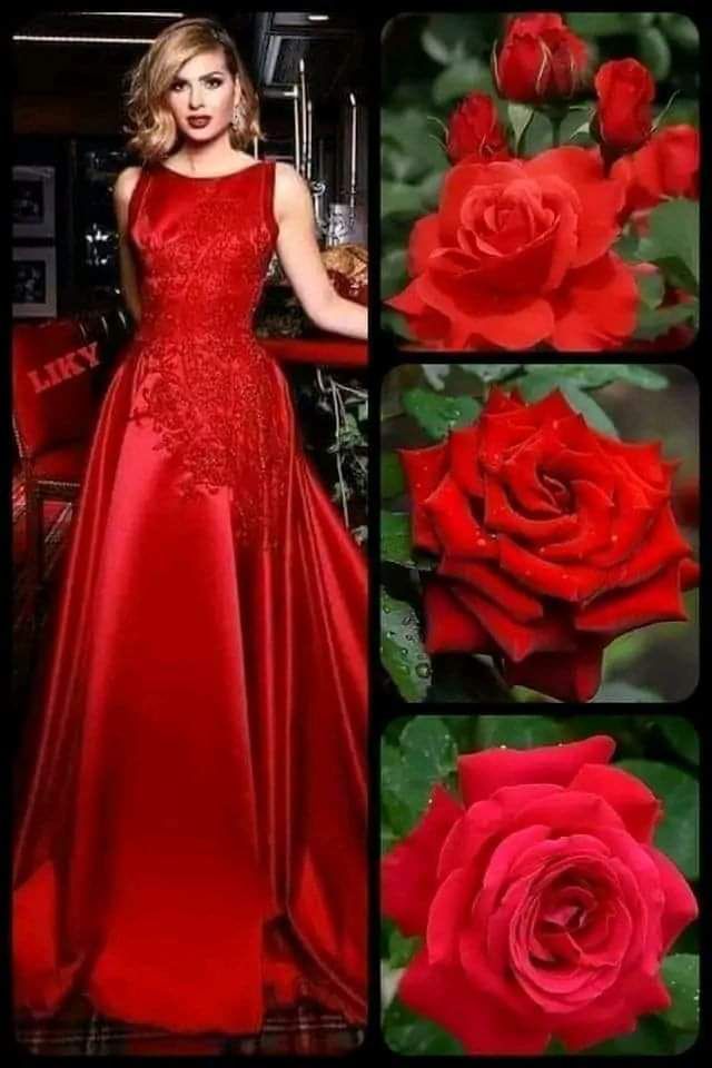 My Wife 🌹🤎🤎🤎🤎🤎🤎🤎