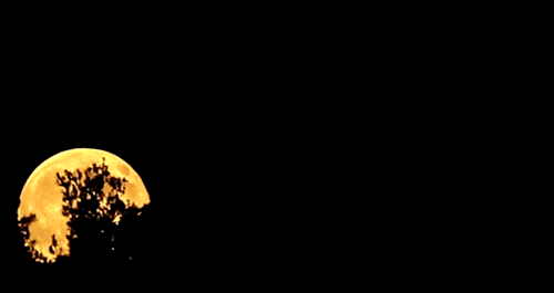 September Harvest Supermoon Lights Up Sky Across The World