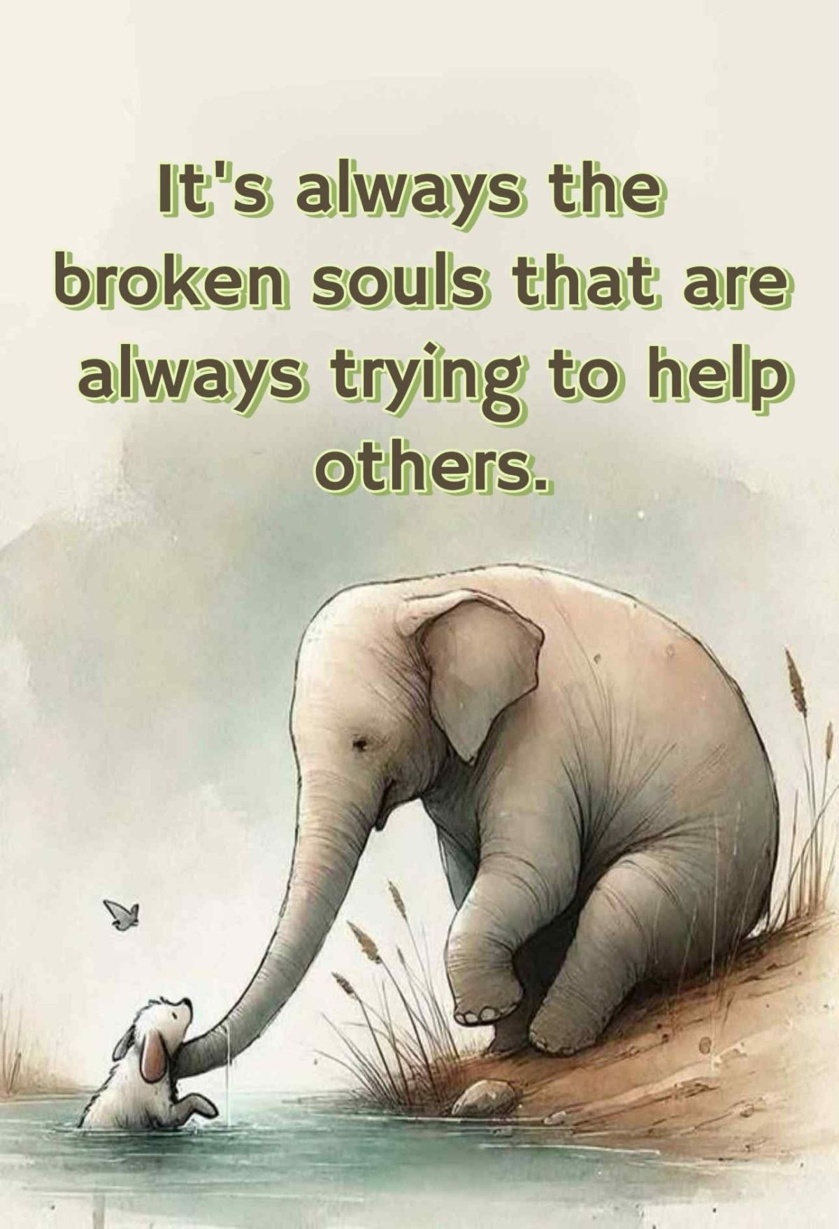 KINDNESS WISDOM CARING&nbsp;&nbsp; 🤗🎊✍️🌾🙏🤷🍀🍂🌿🌱💛🍀🍂🌿🌱🍁✨️💕💛♥️🫂🌱🌿🍂🍀🍁🤷🍃🤷🍃