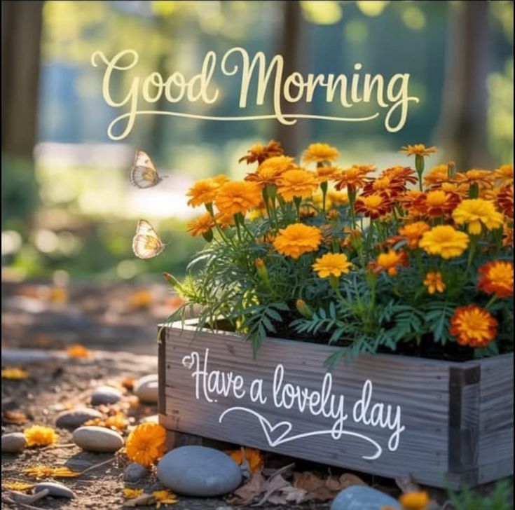 HOUSE-POET 🫴🤲🫴✨️✨️✨️