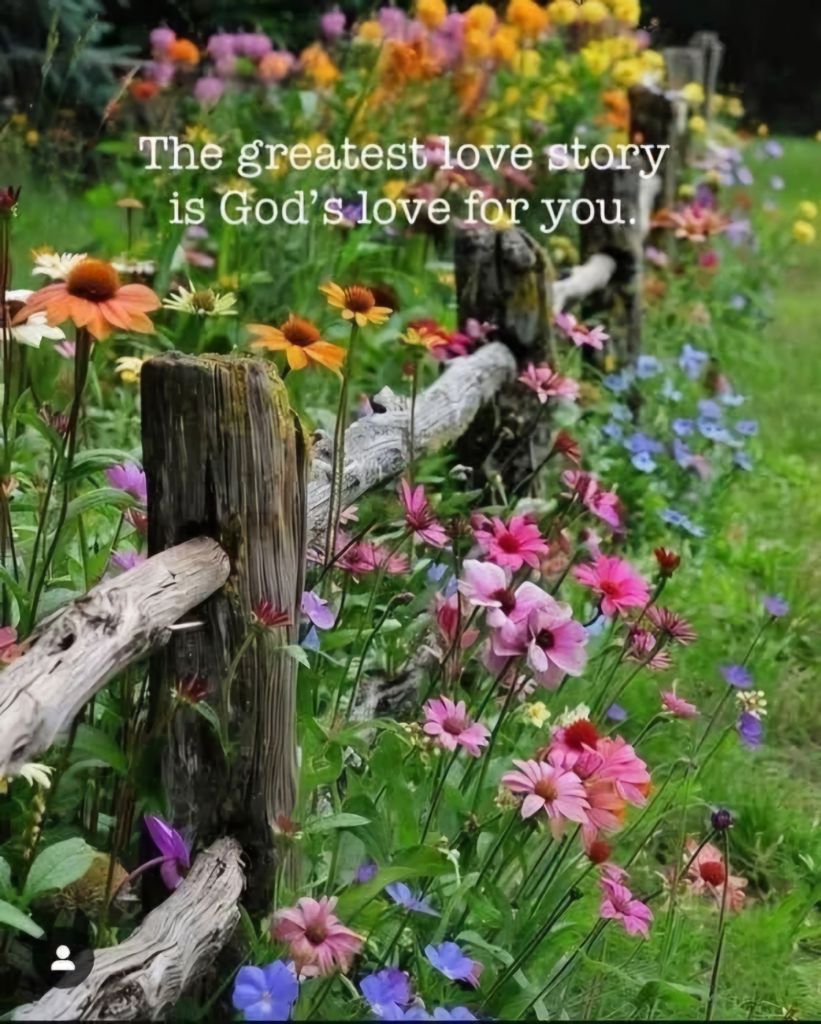 House-poet Peacewriter51 ❤️ ❤️ ❤️