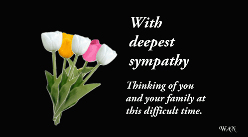 Hong Kong Tai Po fire at least 44 dead & 279 missing as blaze under control with 3 arrested on suspicion of manslaughter