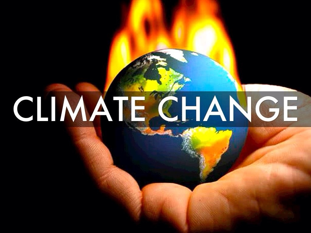 Experts Explain Climate Change Terms: What Does Net Zero & Blue Carbon Mean?