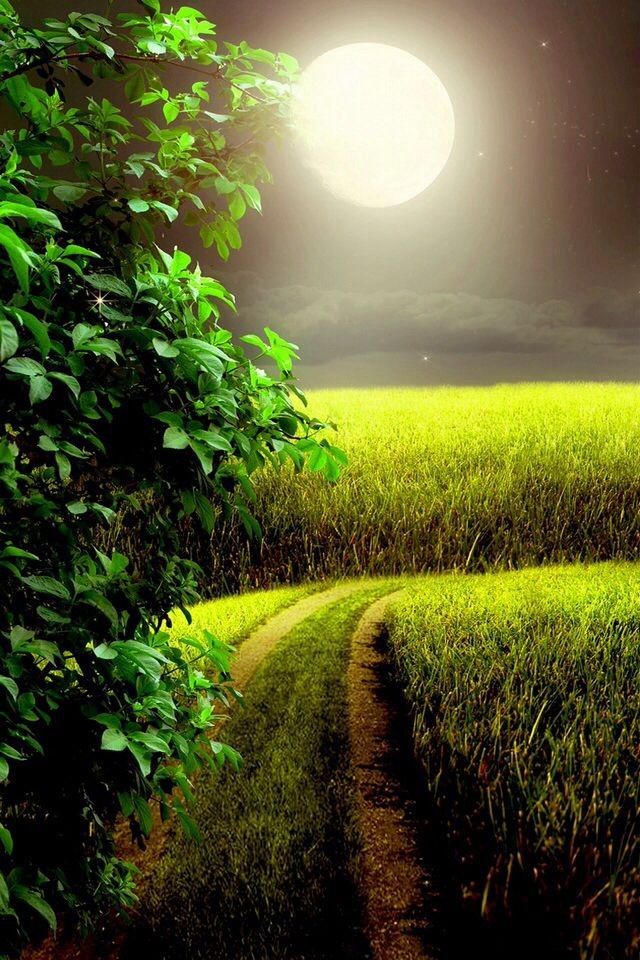 House Poet ⚜️ 🔱