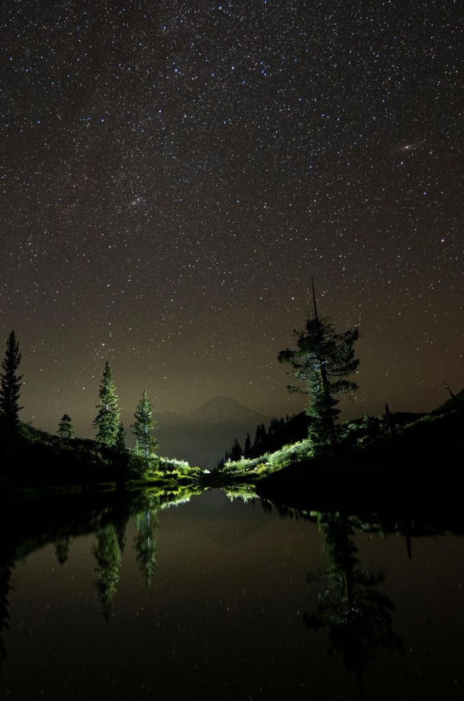 MUST READ: Australias ACF Report: The great forest cover-up: 10 things we learned about forest cover crisis