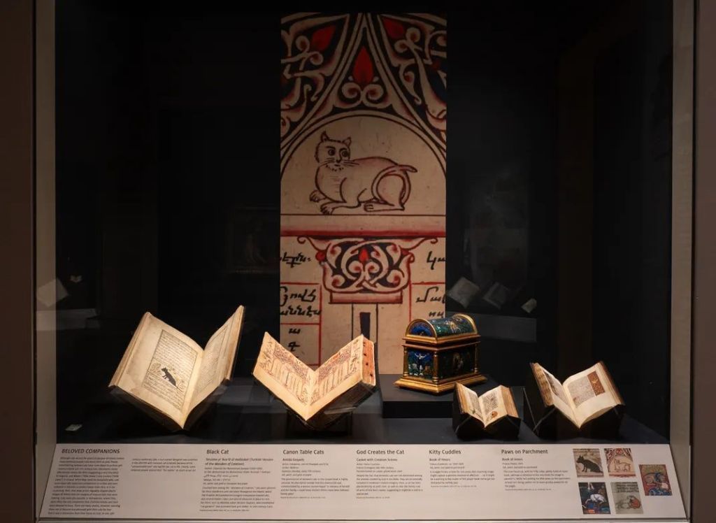 Medieval Manuscript Shows Cat Paws Prints When Ink Was Drying 500 Years Ago