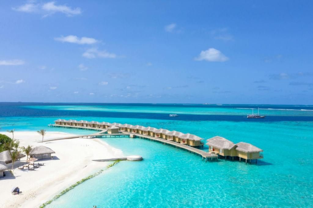 House-poet 🌊🌊🌊