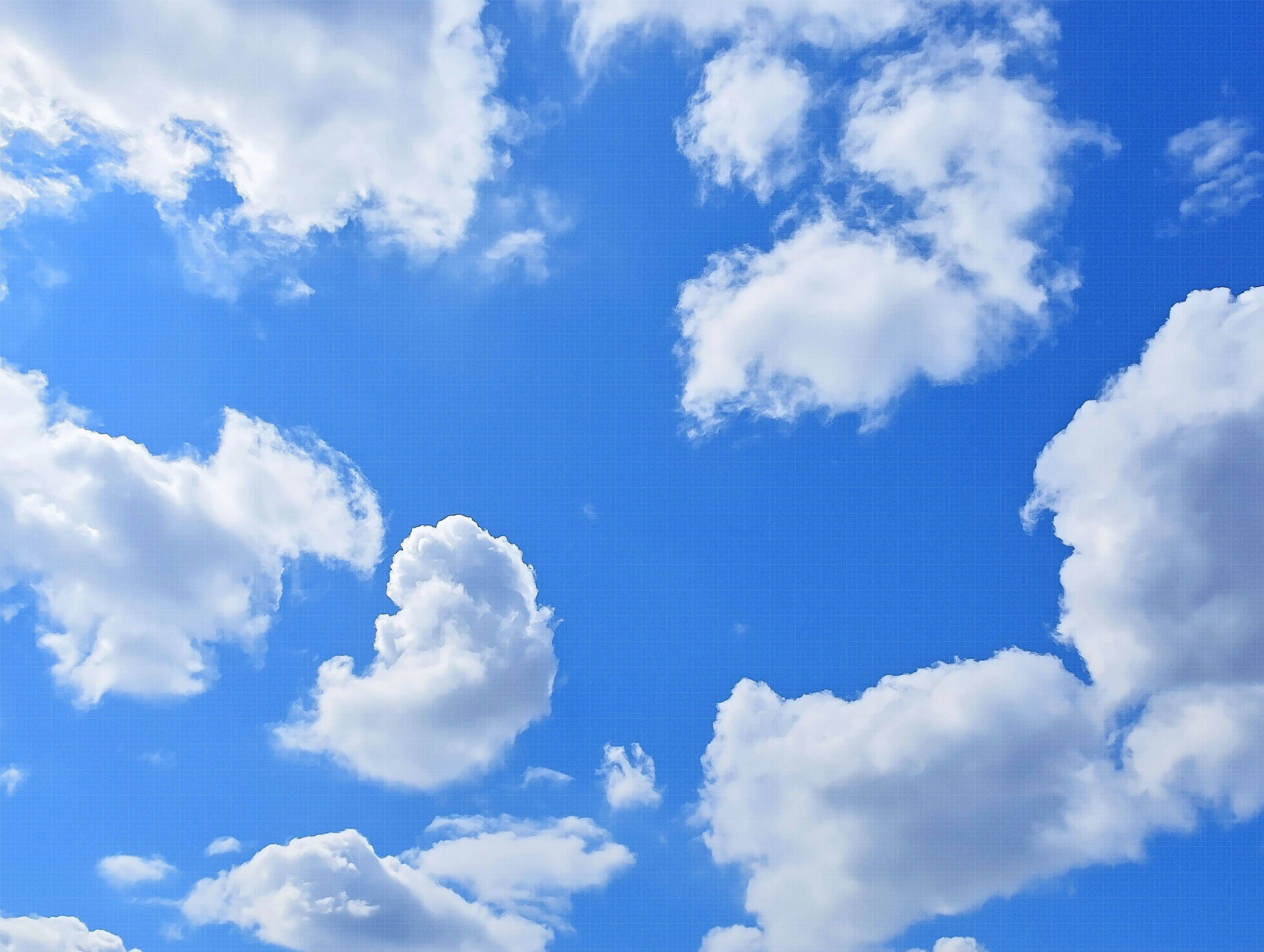 House-poet Peacewriter51 ✍️ ✍️